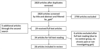 Chronic Non-specific Low Back Pain and Motor Control During Gait